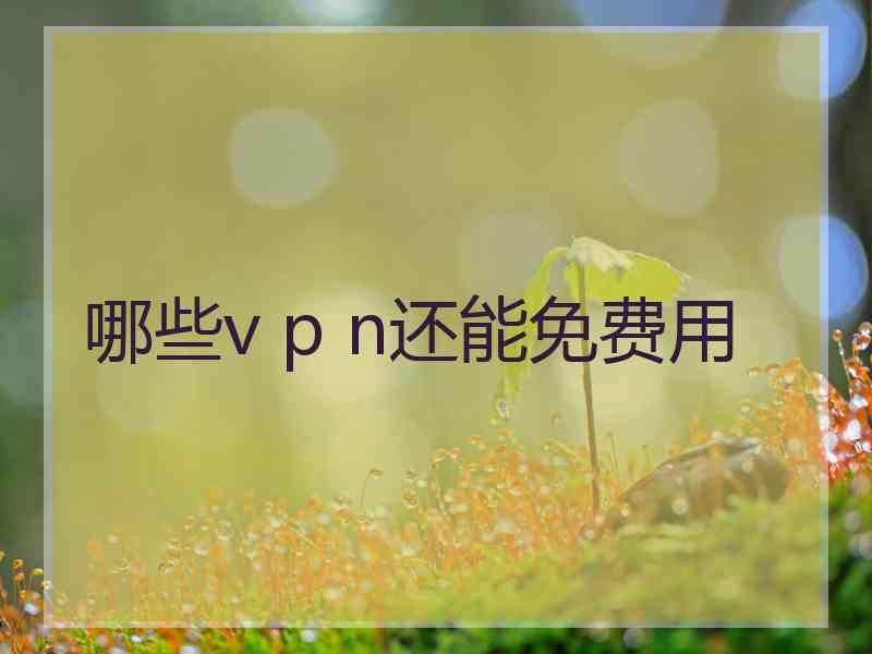 哪些v p n还能免费用