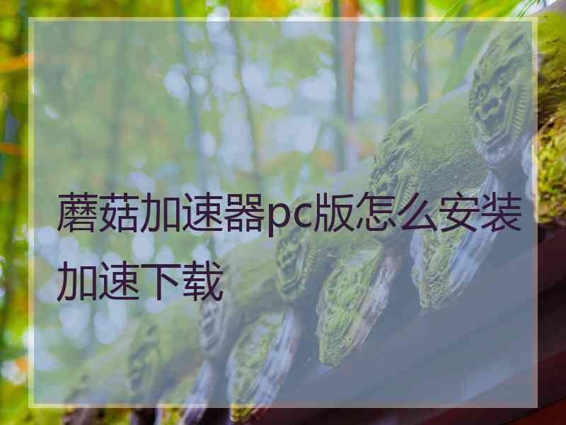 蘑菇加速器pc版怎么安装加速下载