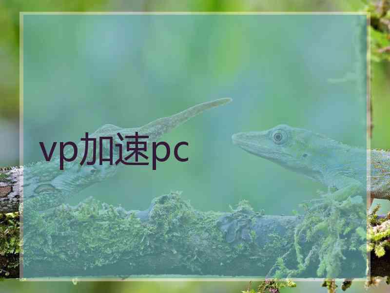 vp加速pc