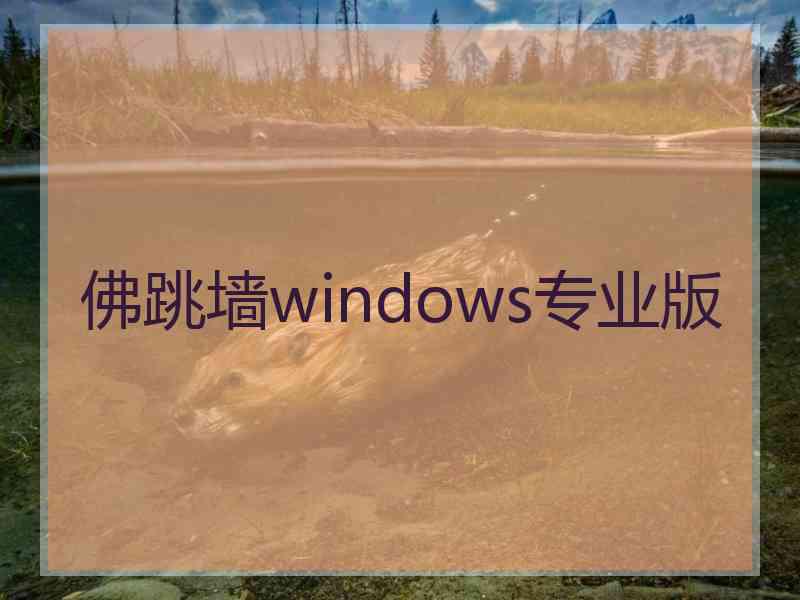 佛跳墙windows专业版