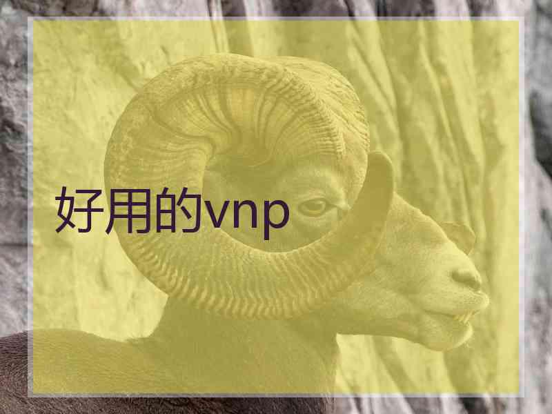 好用的vnp