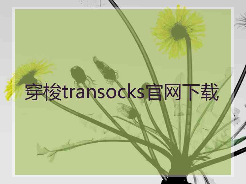 穿梭transocks官网下载