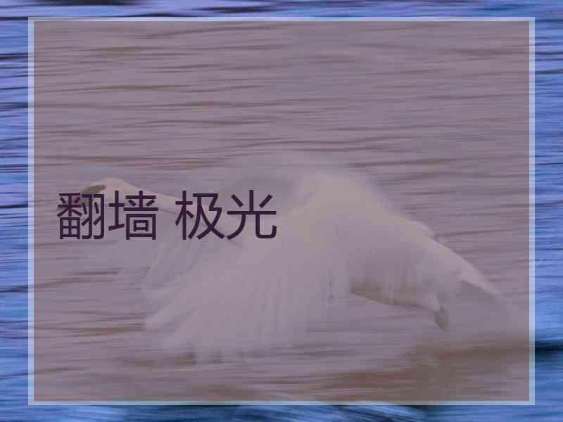 翻墙 极光