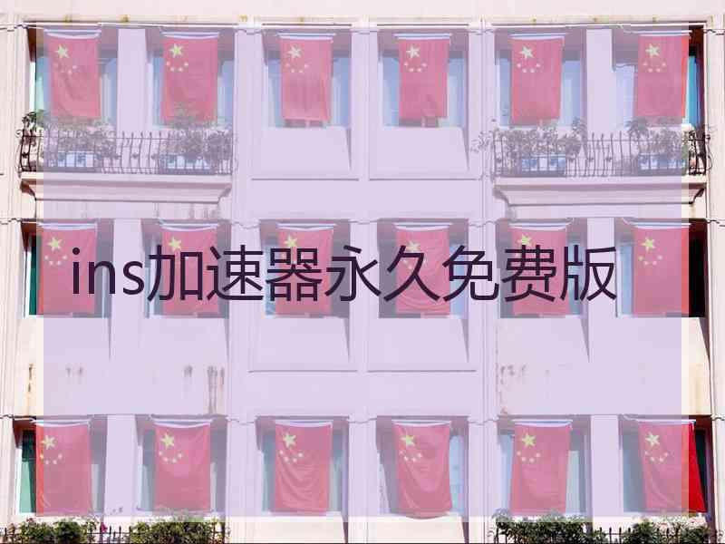 ins加速器永久免费版