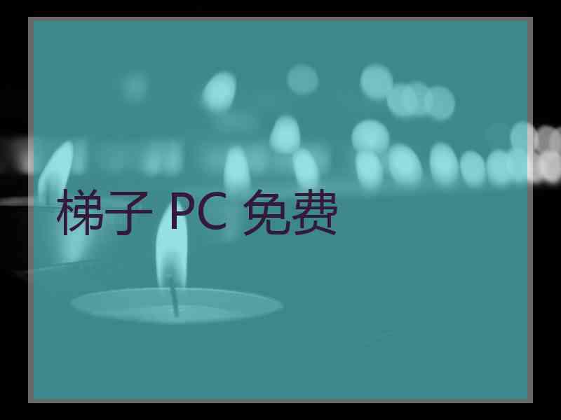 梯子 PC 免费