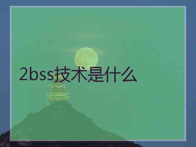 2bss技术是什么