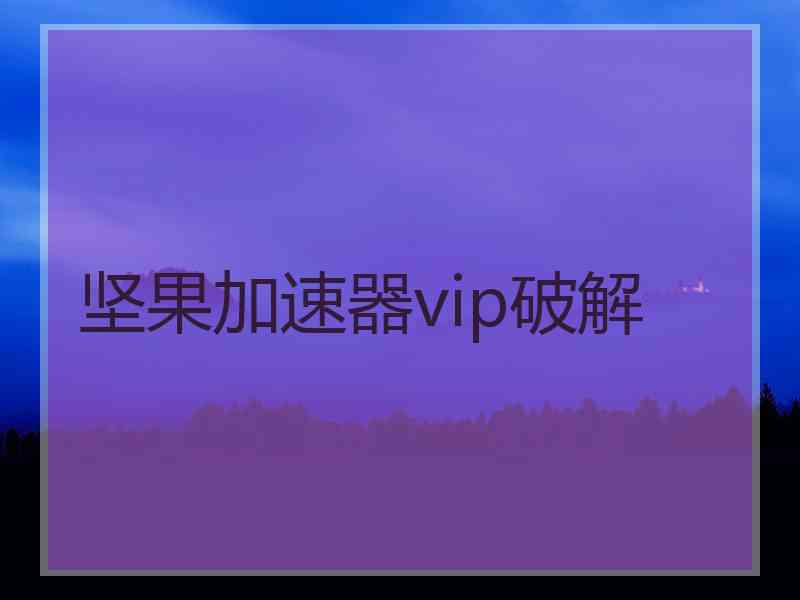 坚果加速器vip破解