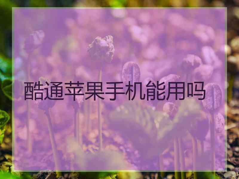 酷通苹果手机能用吗