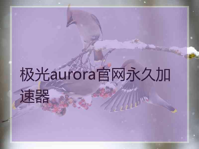 极光aurora官网永久加速器