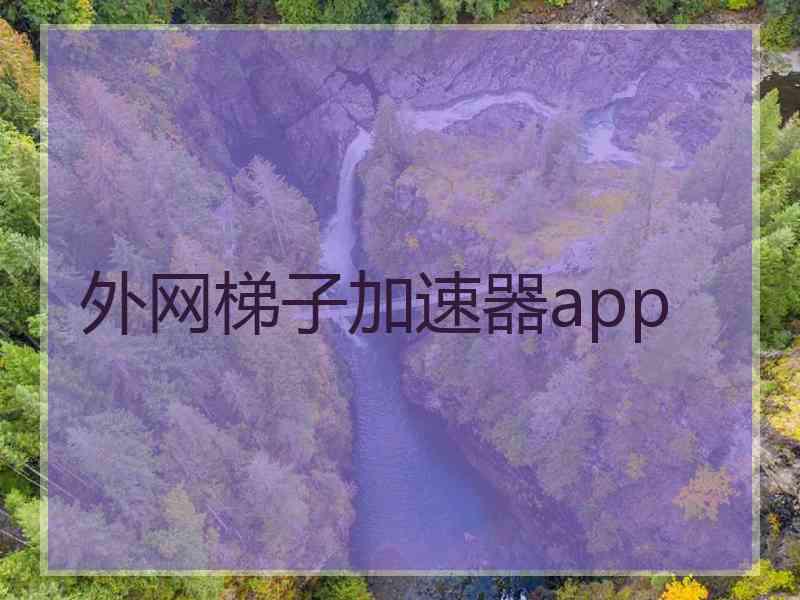 外网梯子加速器app