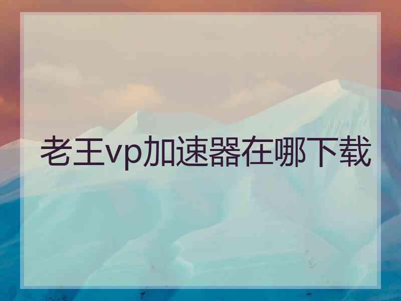 老王vp加速器在哪下载