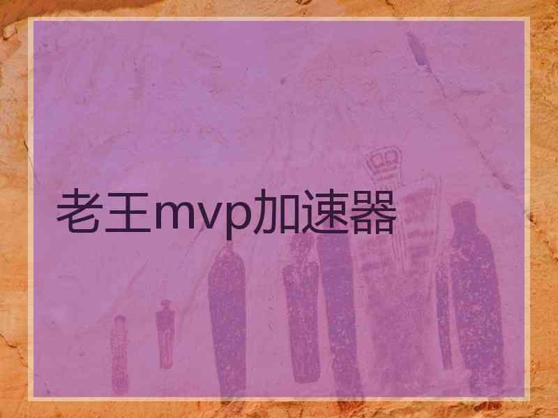 老王mvp加速器