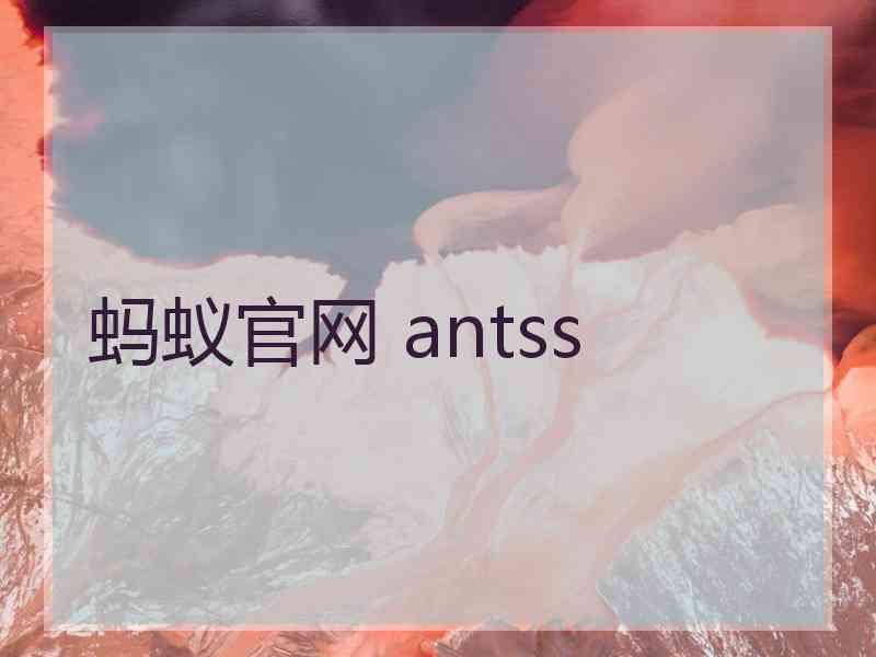 蚂蚁官网 antss