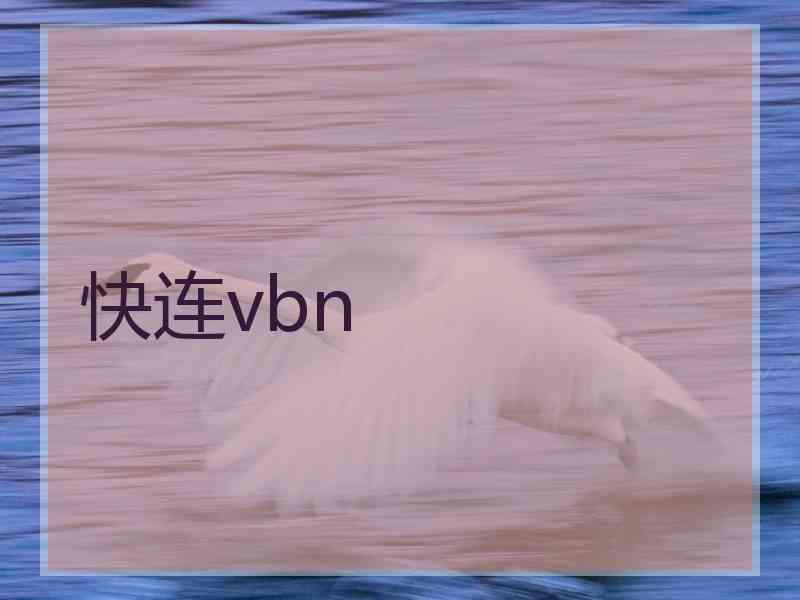 快连vbn