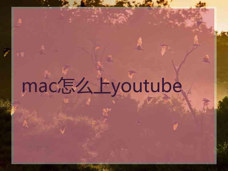 mac怎么上youtube