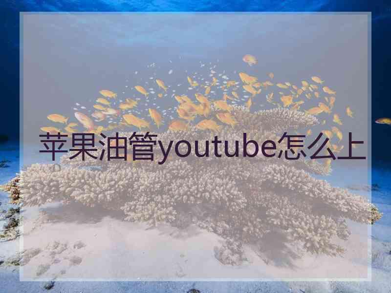 苹果油管youtube怎么上