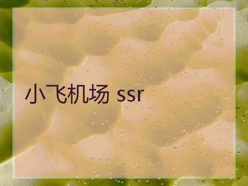 小飞机场 ssr