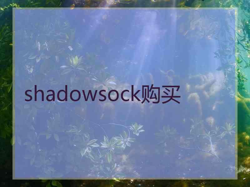 shadowsock购买