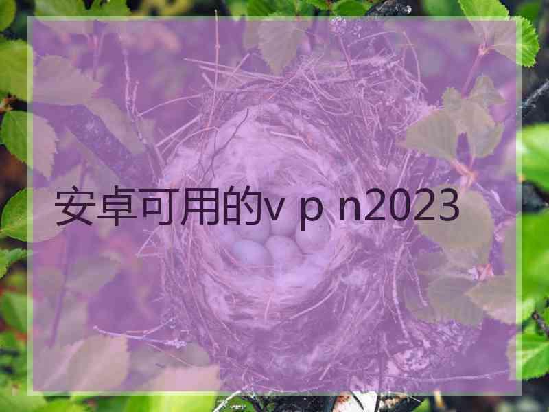 安卓可用的v p n2023