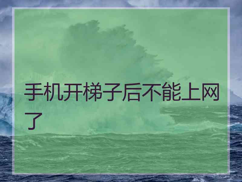 手机开梯子后不能上网了