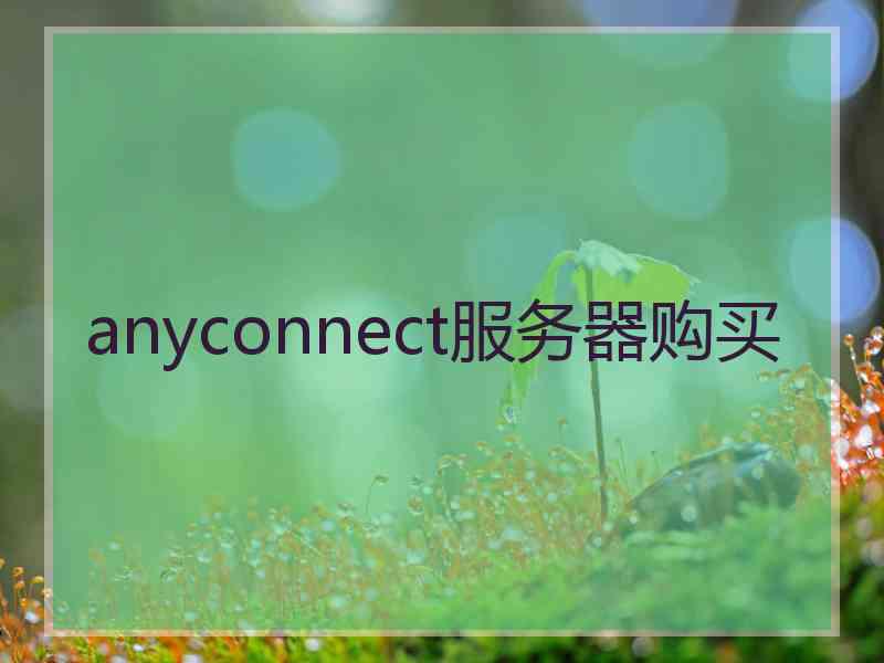 anyconnect服务器购买