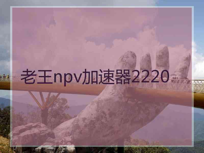 老王npv加速器2220