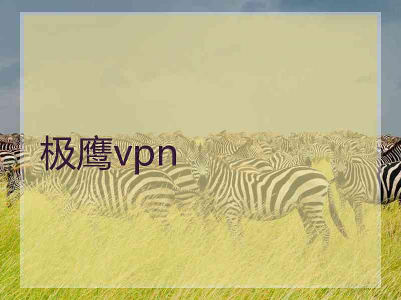 极鹰vpn