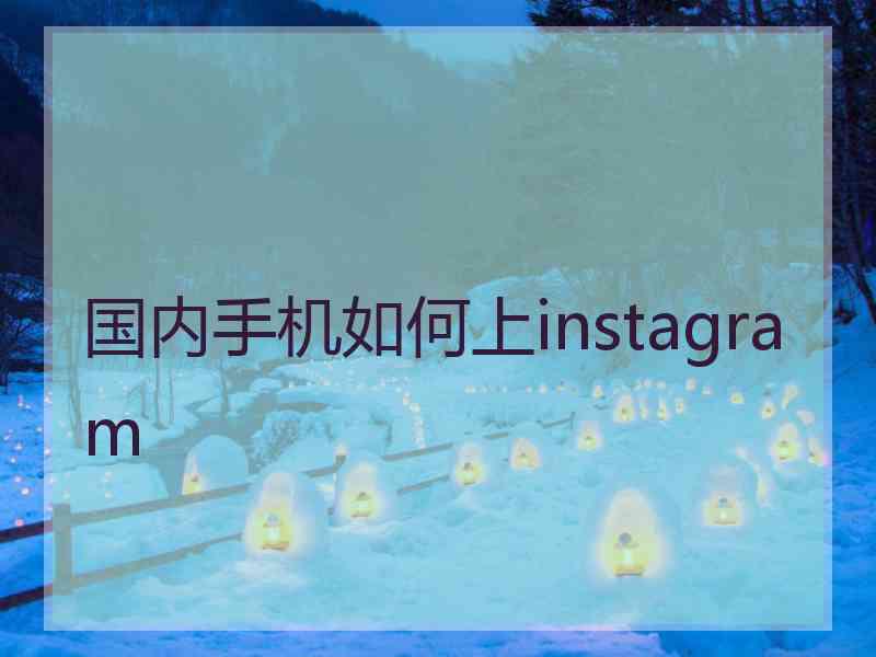 国内手机如何上instagram