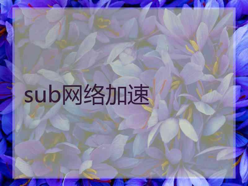 sub网络加速