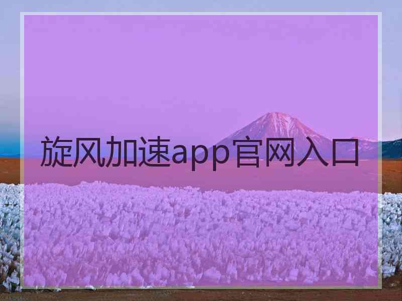 旋风加速app官网入口