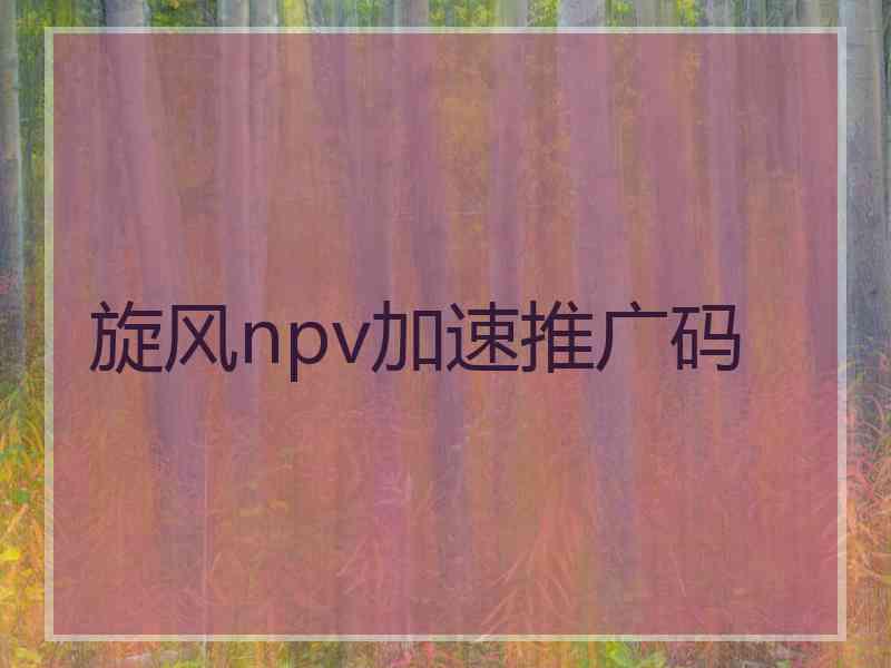 旋风npv加速推广码