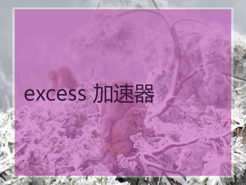 excess 加速器