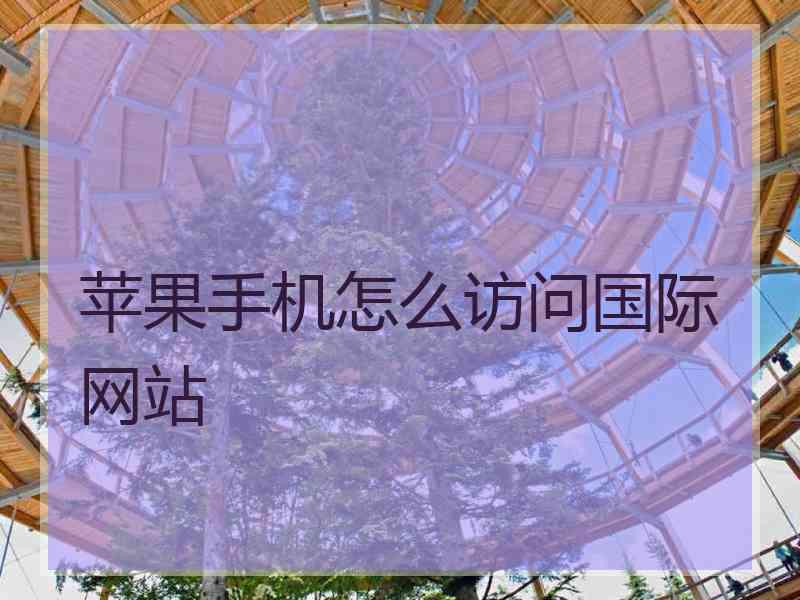 苹果手机怎么访问国际网站