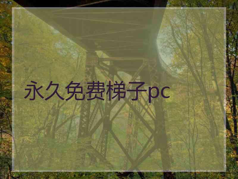 永久免费梯子pc