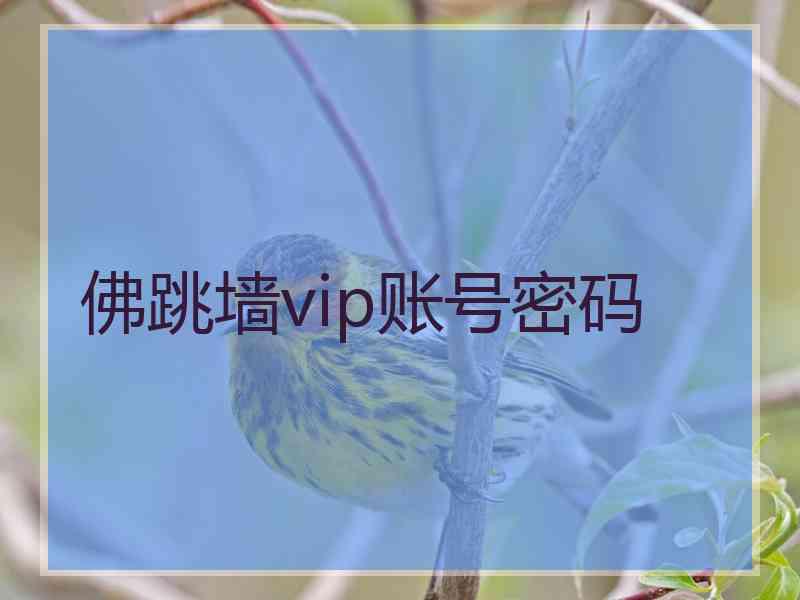 佛跳墙vip账号密码