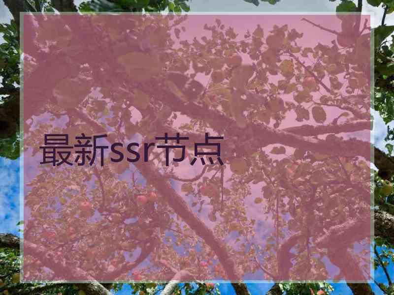 最新ssr节点