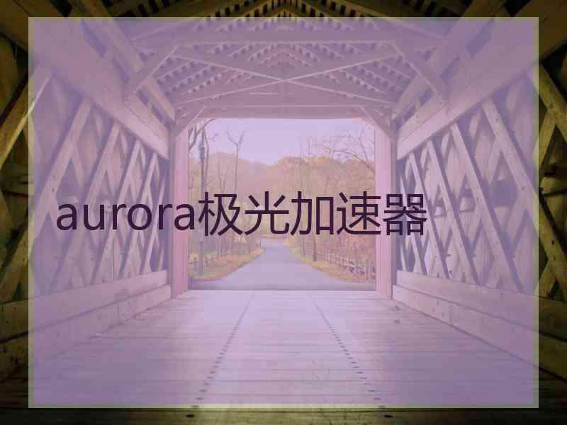 aurora极光加速器