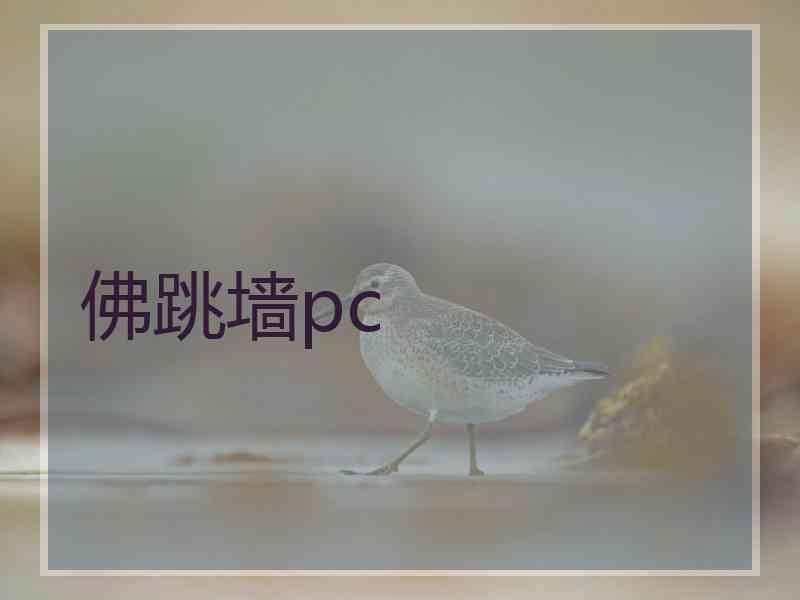 佛跳墙pc