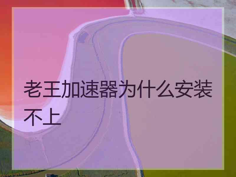 老王加速器为什么安装不上