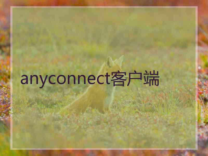 anyconnect客户端