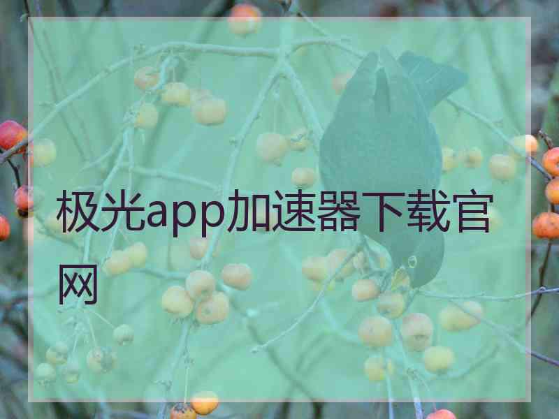 极光app加速器下载官网