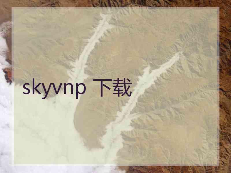 skyvnp 下载