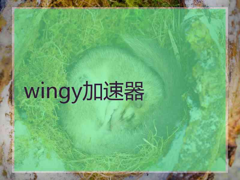 wingy加速器