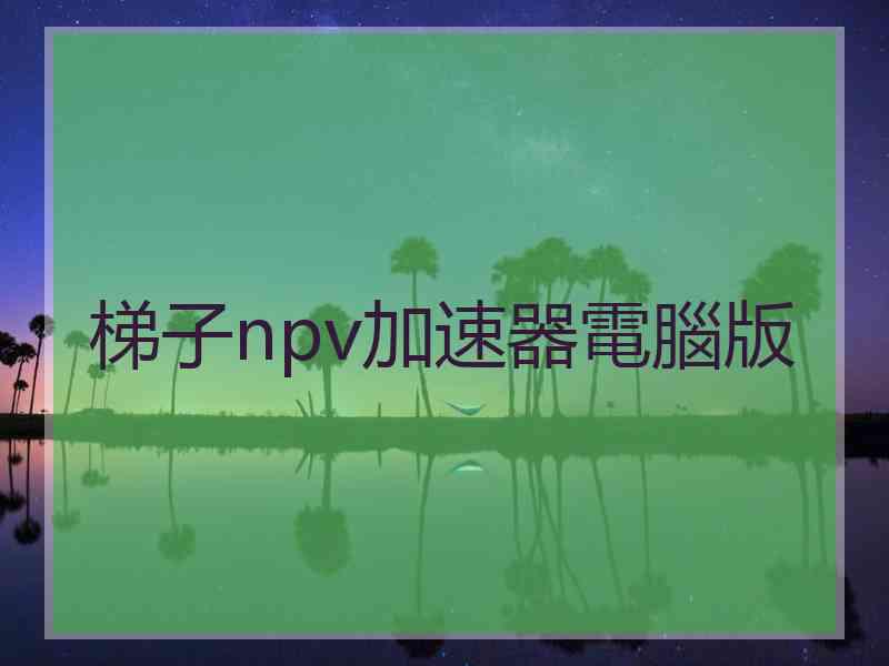 梯子npv加速器電腦版