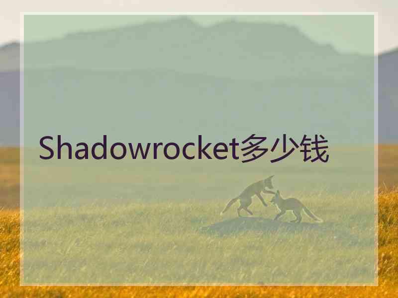 Shadowrocket多少钱