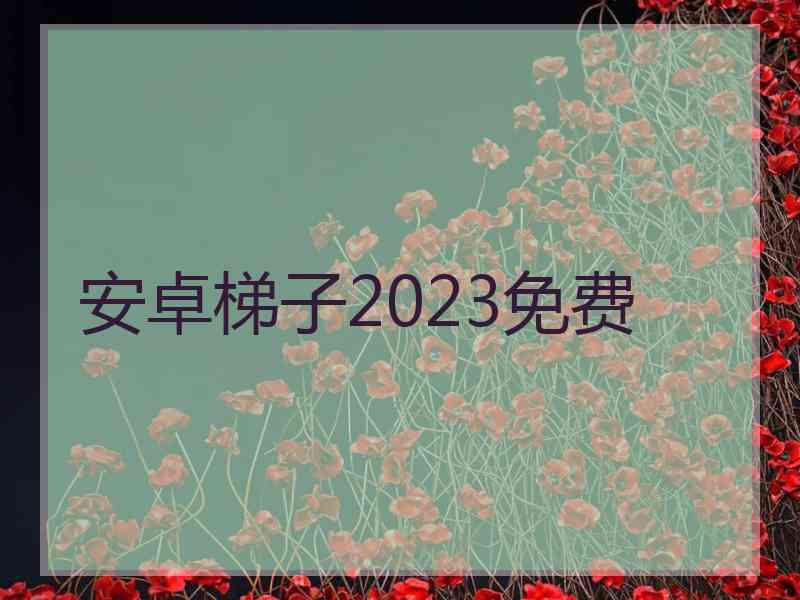 安卓梯子2023免费