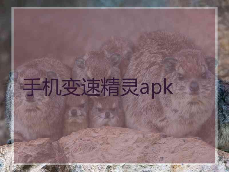 手机变速精灵apk