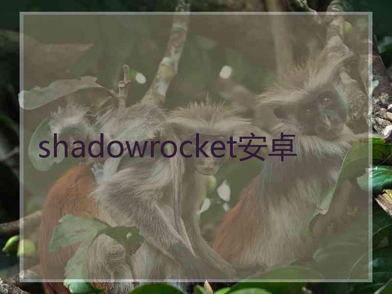 shadowrocket安卓