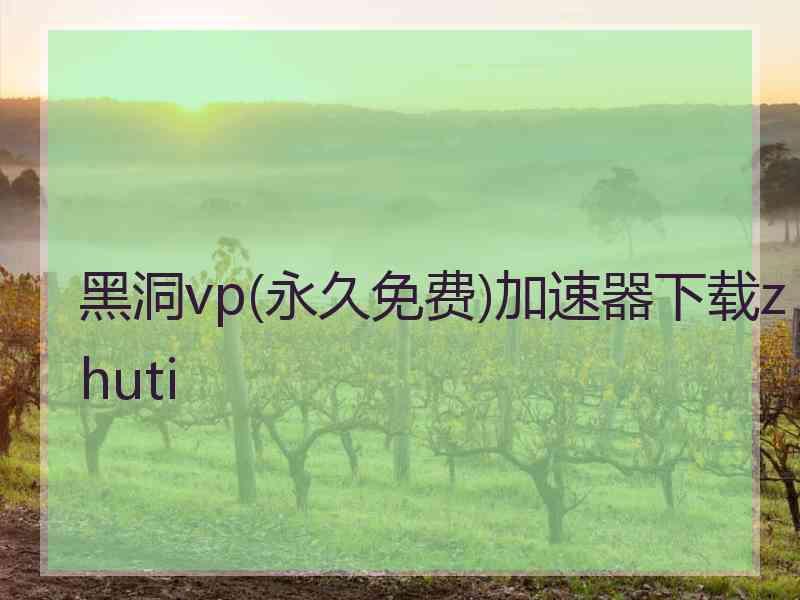 黑洞vp(永久免费)加速器下载zhuti