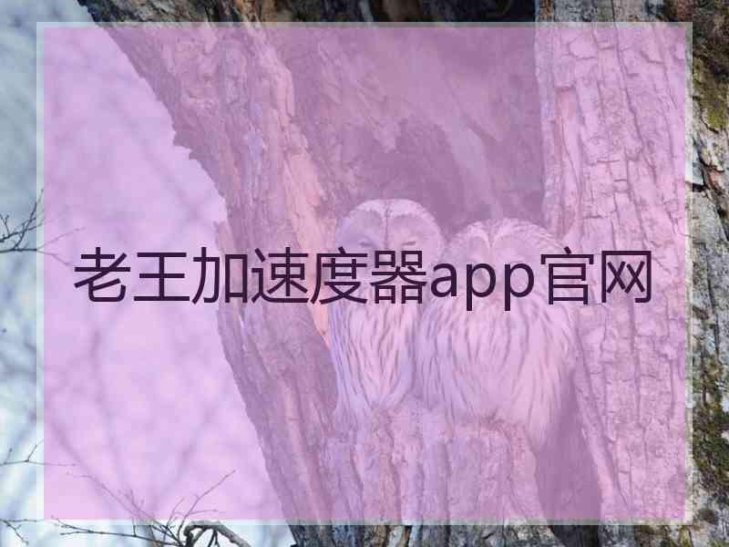 老王加速度器app官网